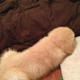 Image for article titled Here Are Japan's Silly Internet Pictures